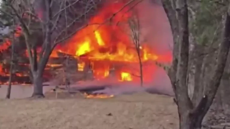 1099071484 27 0 1184 651 1920x0 80 0 0 02bf3719fd0ba8f22f27312fc5a2cd6epng