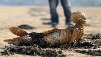 هيكل حورية بحر على الساحل البريطاني يثير دهشة الجميع!