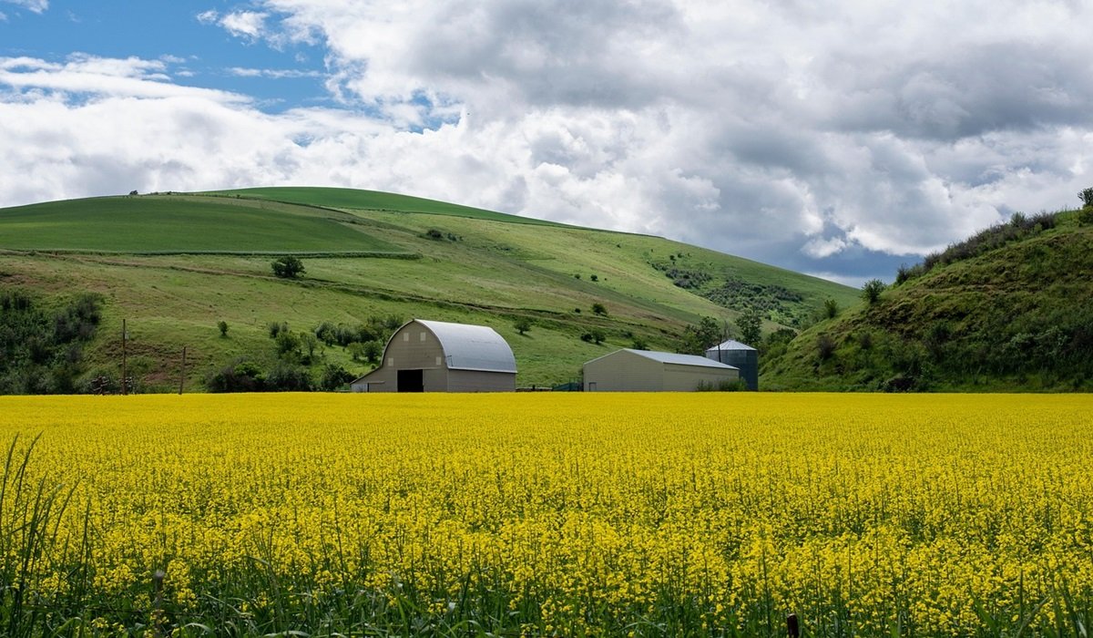 agriculture 7540498 1280