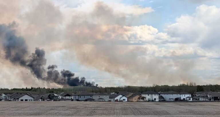 حرائق الغابات