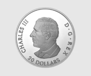 Screenshot - اخبار هلا كندا Screenshot -