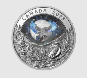 Screenshot - اخبار هلا كندا Screenshot -