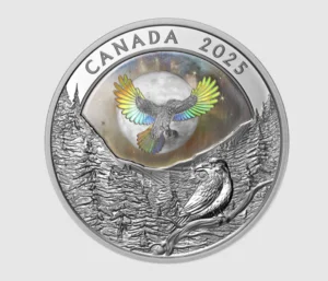 Screenshot - اخبار هلا كندا Screenshot -