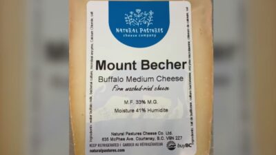 سحب جبن “Mount Becher” في كندا بسبب تلوث الليستيريا