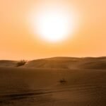 موجات الحر