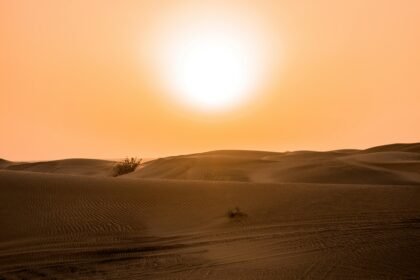 موجات الحر
