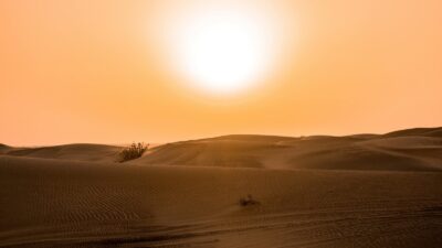 هل تقلل موجات الحر من خصوبة الرجال؟…دراسة تؤكد